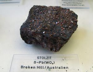 SHTOLCIT.jpg