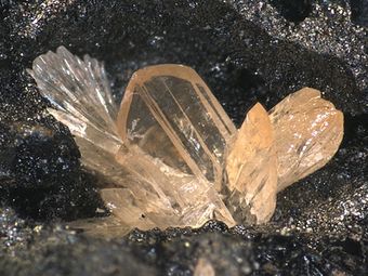 Valentinite-13.jpg