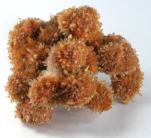 Creedite-3.jpg