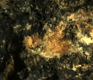 Akatoreite-2.jpg