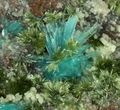 AJOITE-4.jpg