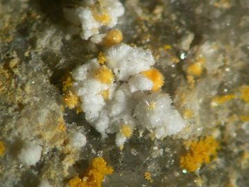 Tamarugite-6.jpg