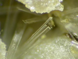 Valentinite-7.jpg