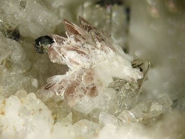 Tilasite-2.jpg