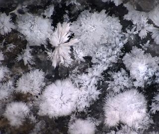 Adranosite-(Al).jpg