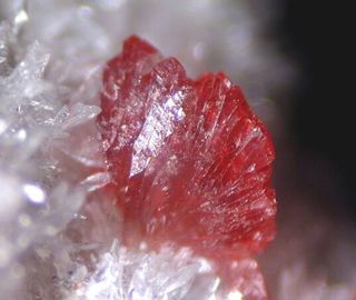 Allactite-3.jpg
