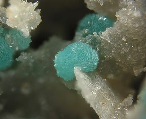 Turquoise-6.jpg