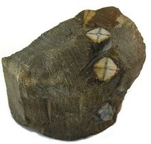 Andalusite-6.jpg