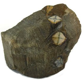 Andalusite-6.jpg