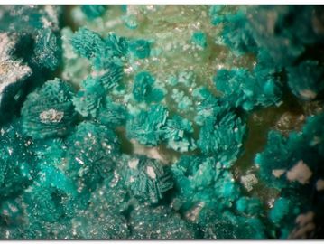 Clinoatacamite-2.jpg