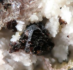 Synadelphite-1.jpg