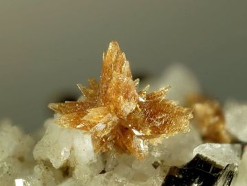 Tilasite-10.jpg