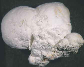 ZYKAITE-3.jpg