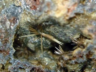 Valentinite-10.jpg