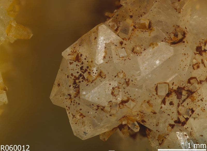Файл:Hydrokenoralstonite-3.jpg