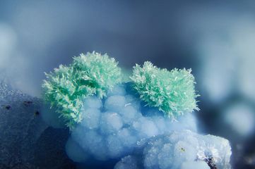 ALLOFAN-4.jpg