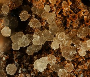 Prosopite-3.jpg