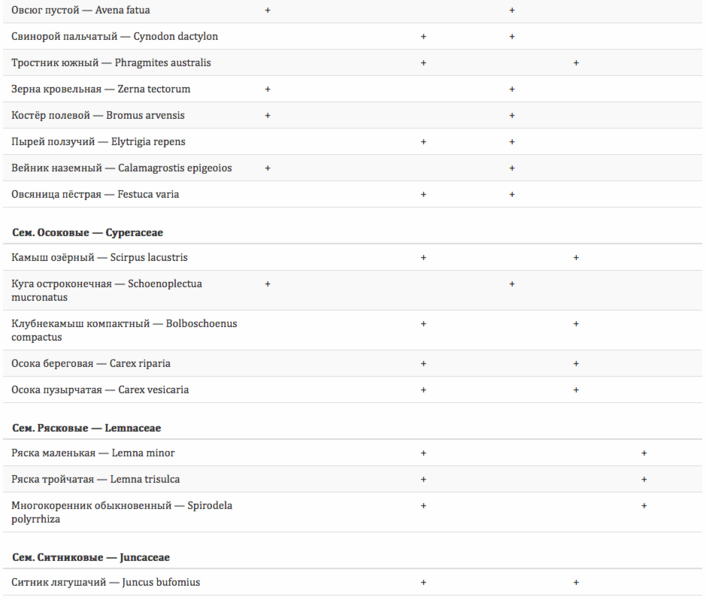 Файл:Duiusduy-5.png