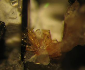 Batisite-5.jpg
